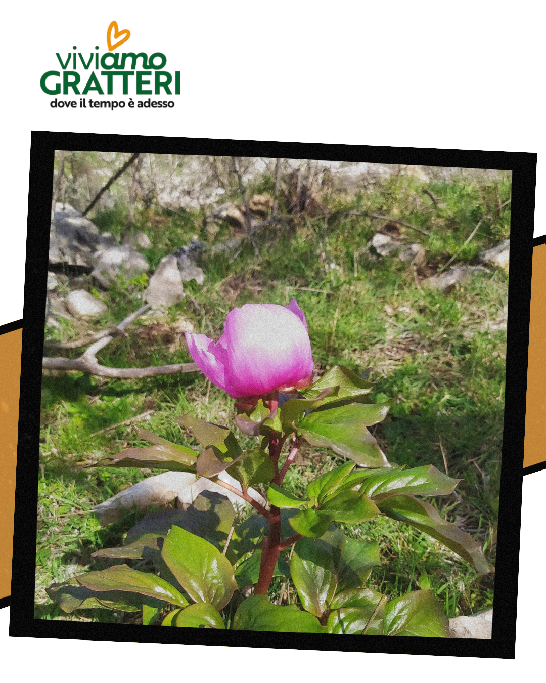 Progetto-ViviAmo-Gratteri-gruppo-sentieri-12-marzo-2025-1741891250739-min-9
